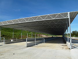 Dairy Tech Waikato Design Build Feed Pads